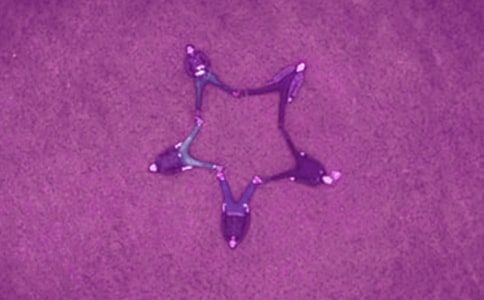 ҵĺ600