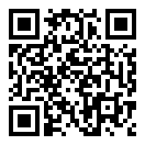 城市追逐逃脱警车二维码