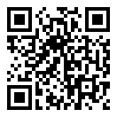 高速公路赛车手车祸版二维码