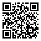 盗窃城市二维码