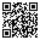 撞车王者二维码