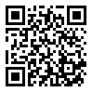 Car Crash Icy Mountain Road二维码