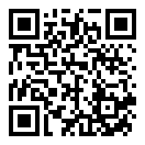 极速追击二维码