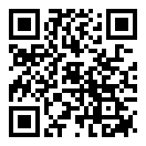 极酷炫赛车手二维码