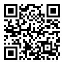 小小灾祸演示录二维码