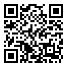 真正的停车场城市模式二维码