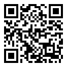 菠萝小说二维码