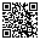 弹子迷宫二维码