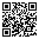 飞机战斗模拟器二维码