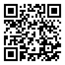 妙手神偷模拟器二维码