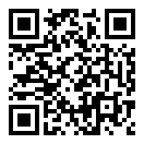 龙飞行模拟器二维码