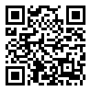 大妈模拟器二维码