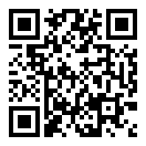 汽车大碰撞二维码