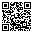 自动小球二维码