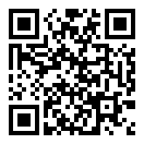 车祸环路桥模拟器二维码