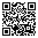 神偷鲍勃2无敌版二维码