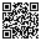 司机大乱斗二维码