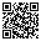 飞行模拟器2D二维码