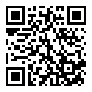 小米主题国际版二维码