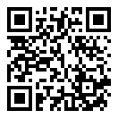 街头逃逸二维码