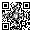 there is no game二维码