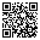 美国警察模拟器二维码