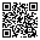 以闪亮之名海外服二维码