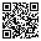 俄罗斯汽车司机汉化版二维码