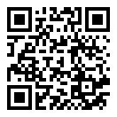 飞行模拟787中文版二维码