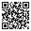 飞机真实模拟二维码