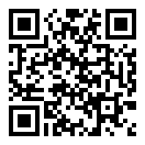 撞车模拟器2二维码