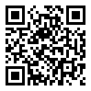 飞智游戏厅奇技版二维码
