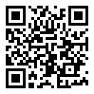 飞机飞行模拟器二维码