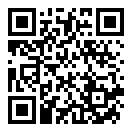 悬挂过山车二维码