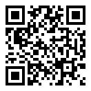 电脑大亨2内购版二维码