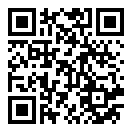 姐姐手提包贼多二维码