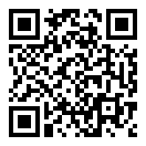 真人汽车驾驶德国修改版二维码