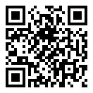 映月城与电子姬联机版二维码