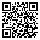 真实飞行模拟器2024最新版二维码