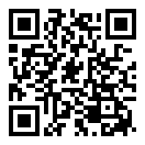 真实模拟赛车二维码