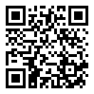 动能手电筒二维码