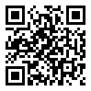 there is no game手机汉化版二维码