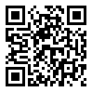 飞行模拟787二维码