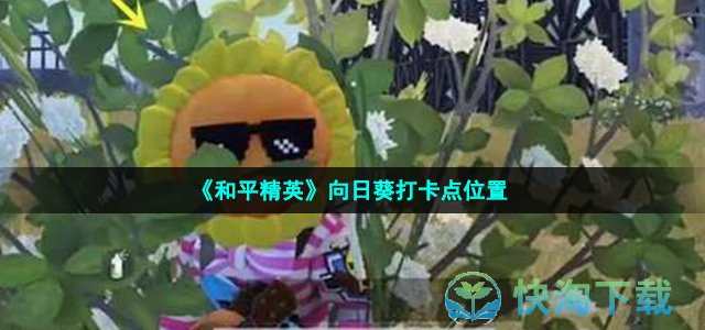 《和平精英》向日葵打卡点位置