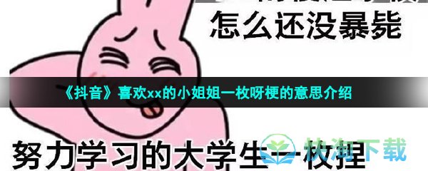 《抖音》喜欢xx的小姐姐一枚呀梗的意思介绍