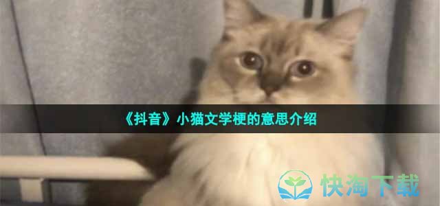 《抖音》小猫文学梗的意思介绍