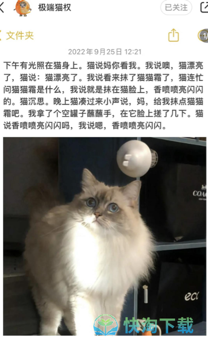 《抖音》小猫文学梗的意思介绍