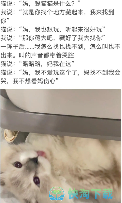 《抖音》小猫文学梗的意思介绍