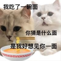 《抖音》土味情话表情包分享