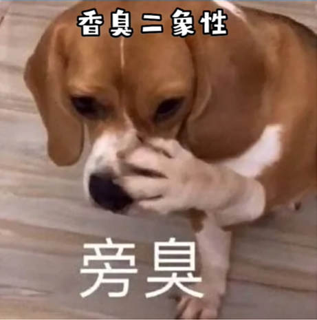 《抖音》Chokes梗出处含义介绍